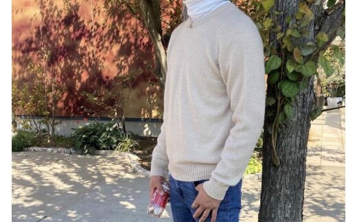 【アルパカ専門店 T'IKA】ラグランセーター・ナチュラルアイボリー・男女兼用（アルパカ100％）【アパレル 洋服 おしゃれ プレゼント 毛糸 ウイメンズ 水戸市 白系】(AL-8)