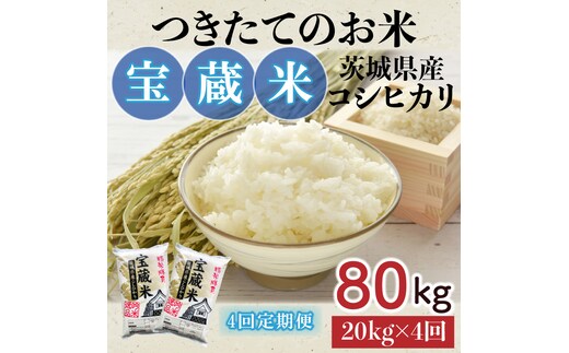【4ヶ月定期便】【令和7年産】茨城県産コシヒカリ 宝蔵米 20kg×4回【お米 米 菊池 こしひかり つきたてのお米 食味ランキング特A評価 茨城県 水戸市】（CZ-815）