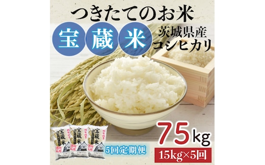 【5ヶ月定期便】【令和7年産】茨城県産コシヒカリ 宝蔵米 15kg×5回【お米 米 菊池 こしひかり つきたてのお米 食味ランキング特A評価 茨城県 水戸市】（CZ-714）
