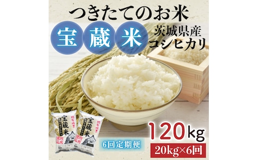 【6ヶ月定期便】【令和7年産】茨城県産コシヒカリ 宝蔵米 20kg×6回【お米 米 菊池 こしひかり つきたてのお米 食味ランキング特A評価 茨城県 水戸市】（CZ-510）
