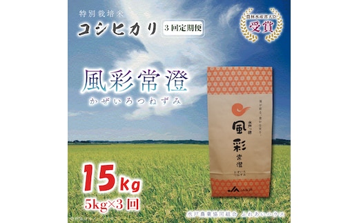 【3ヶ月定期便】【令和7年産】特別栽培米コシヒカリ「風彩常澄」計15kg（5kg×3回） （FC-103）