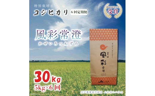 【6ヶ月定期便】【令和7年産】特別栽培米コシヒカリ「風彩常澄」計30kg（5kg×6回）】 （FC-104）