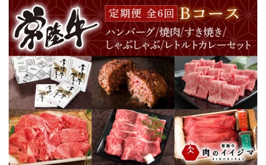 【定期便 全6回】常陸牛 6ヶ月 定期便 Bコース 食べ物 肉 ハンバーグ 焼肉 すき焼き しゃぶしゃぶ レトルト 常陸牛カレー ビーフカレー セット ギフト対応 【肉のイイジマ】 茨城県 水戸市（DU-108）