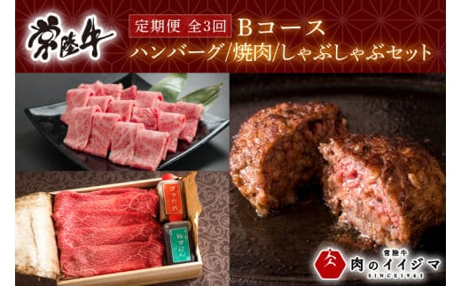 【定期便 全3回】 常陸牛 3ヶ月 定期便 Bコース 食べ物 肉 常陸牛ハンバーグ 10個 無添加 冷凍 焼き肉 カルビ 焼肉 しゃぶしゃぶ ギフト セット ふるさと納税 【肉のイイジマ】 茨城県(DU-104)