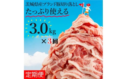 【数量限定】【3か月定期便】リピーター続出！茨城県産ブランド豚切り落とし計9kg(3kg×3回)【肉 豚肉 切り落とし 小分け 真空 真空パック 茨城県産 肉料理 肩ロース ウデ モモ バラ 水戸市 水戸】（EC-102）