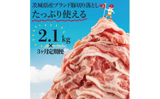 【数量限定】【３か月定期便】リピーター続出！茨城県産ブランド豚切り落とし計6.3kg(2.1kg×3回)【肉 豚肉 切り落とし 小分け 真空 真空パック 茨城県産 肉料理 肩ロース ウデ モモ バラ 水戸市 水戸】（EC-8_2）
