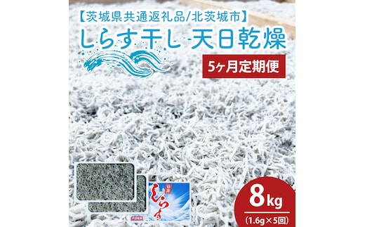 【5ヶ月定期便】しらす干し 天日乾燥1.6kg（400g×4）【茨城県共通返礼品/北茨城市】(HY-19)