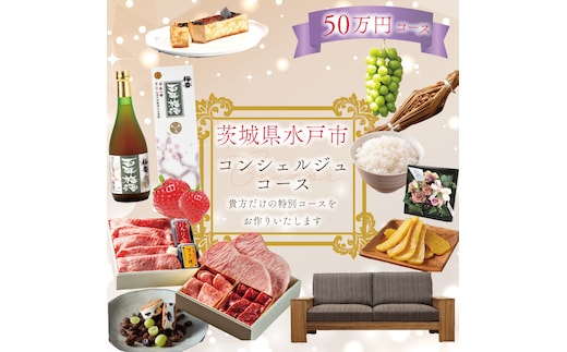 【提案型】コンシェルジュコース（50万円）(GT-8)