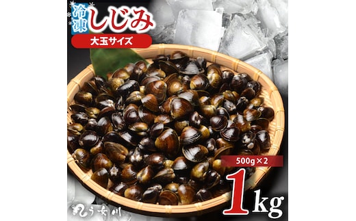 しじみ 冷凍 特選 大玉 1kg（500ｇ×2）砂抜き済み 涸沼川 う女川【シジミ オルニチン ミネラル ビタミンB12 出汁 肝臓 味噌汁 スープ 茨城県 水戸市】（IX-111）