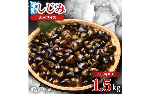 しじみ 冷凍 特選 大玉 1.5kg（500ｇ×3）砂抜き済み 涸沼川 う女川【シジミ オルニチン ミネラル ビタミンB12 出汁 肝臓 味噌汁 スープ 茨城県 水戸市】（IX-112）