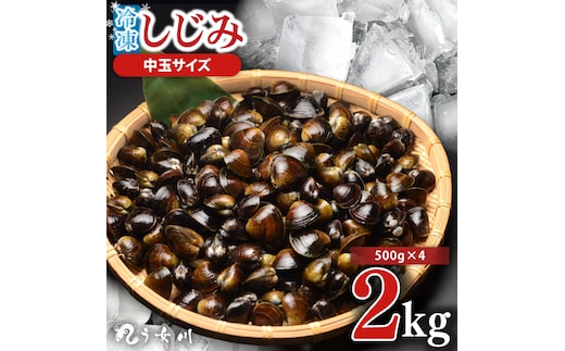 しじみ 冷凍 中玉 2kg（500ｇ×4）砂抜き済み 涸沼川 う女川【シジミ オルニチン ミネラル ビタミンB12 出汁 肝臓 味噌汁 スープ 茨城県 水戸市】（IX-116）