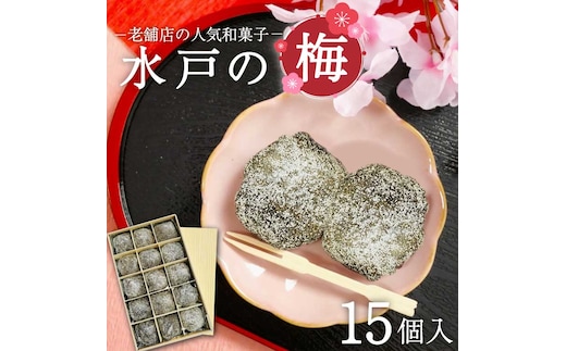 【木村屋本店】水戸銘菓 水戸の梅 15個入り 160年以上愛される老舗和菓子店【和菓子 お菓子 スイーツ デザート あんこ こし餡 求肥 お土産 老舗 水戸市 茨城県 】（JR-2）