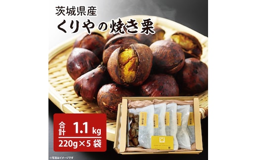 茨城県産 くりやの焼き栗 220g×5袋【くり 栗 焼き栗 秋 茨城県産 果物 果樹 栗ご飯 水戸市】（AO-2）