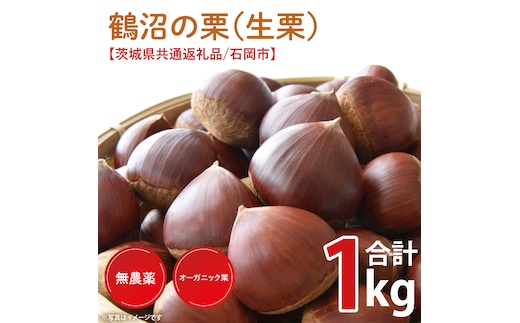 【2026年9月中旬より順次発送】石岡市鶴沼の栗（生栗）1kg（茨城県共通返礼品/石岡市）（KN-4）