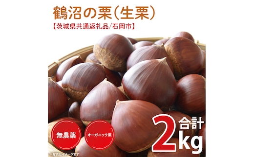 【2026年9月中旬より順次発送】石岡市鶴沼の栗（生栗）2kg（茨城県共通返礼品/石岡市）（KN-5）