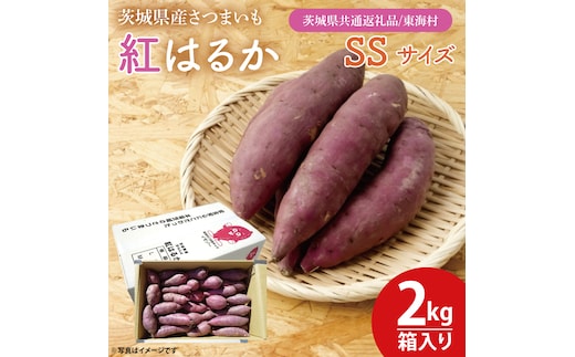 【数量限定】紅はるかSSサイズ2kg箱【茨城県共通返礼品/東海村】【新さつまいも 新芋 さつまいも 芋 焼き芋 焼芋 やきいも 水戸市 茨城県 】（KE-12）