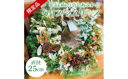 【11月下旬以降発送・数量限定】常緑樹の香りあふれるクリスマスリース（限定品）【インテリア おしゃれ 壁飾り プレゼント お花 ギフト ナチュラル クリスマス リース 水戸市 水戸 茨城県 10000円以内 1万円以内】（KW-3）