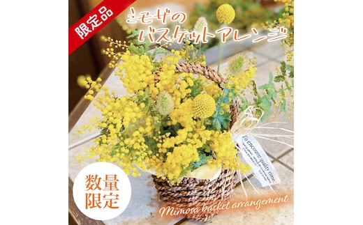 【3月以降発送・数量限定】ミモザのバスケットアレンジ（限定品）【インテリア おしゃれ 壁飾り プレゼント お花 ギフト ナチュラル アレンジ フラワーアレンジ 水戸市 水戸 茨城県 10000円以内 1万円以内】（KW-4）