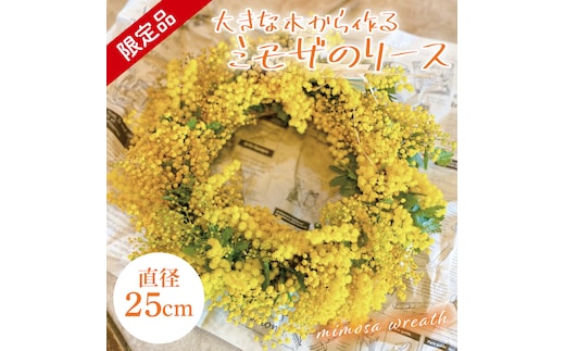 【3月以降発送・数量限定】大きな木から作るミモザのリース（限定品）【インテリア おしゃれ 壁飾り プレゼント お花 ギフト ナチュラル アレンジ フラワーアレンジ 水戸市 水戸 茨城県 10000円以内 1万円以内】（KW-5）
