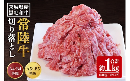 【数量限定】常陸牛切り落とし 約1kg（500g×2p）【水戸市 牛肉 常陸牛 お肉 小分け 自家用におすすめ おいしい ブランド牛 ステーキ 数量 限定 スライス加工】（BG-20）