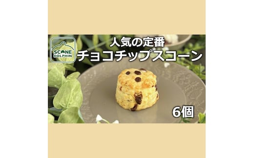 チョコチップスコーン 6個【人気 しっとり 冷凍 冷凍スコーン ミルクチョコレート チョコレート 本場 イギリス 焼き菓子 スイーツ 水戸市 水戸 茨城県 10000円以内 1万円以内】（AR-15）