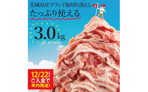 【数量限定】【12/22までにご入金で年内発送】【12月発送】茨城県産ブランド豚切り落とし3kg (300g×10p)【肉 豚肉 切り落とし 小分け 真空 真空パック 茨城県産 肉料理 肩ロース ウデ モモ バラ 水戸市 水戸】（EC-20-12）