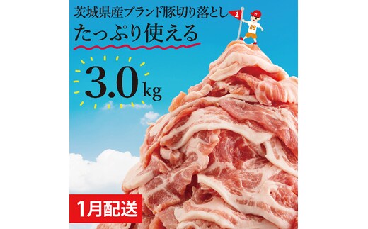 【数量限定】【1月発送】茨城県産ブランド豚切り落とし3kg (300g×10p)【肉 豚肉 切り落とし 小分け 真空 真空パック 茨城県産 肉料理 肩ロース ウデ モモ バラ 水戸市 水戸】（EC-20-1）