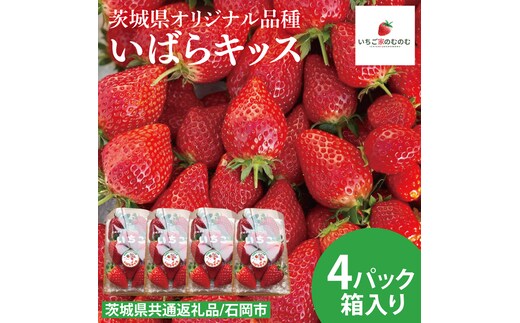 【数量限定】【離島配送不可】いばらキッス 4パック/箱【茨城県共通返礼品/石岡市】【いちご イチゴ 苺 果物 くだもの フルーツ 茨城県オリジナル品種 茨城県】（LX-2）