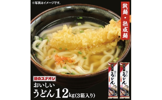 【麺のスナオシ】水戸発 おいしいうどん３箱 計12kg（200ｇ×60袋）（乾麺）【饂飩 麺 長期保存 保存食 防災 人気 大容量 水戸市 茨城県】（BY-16）