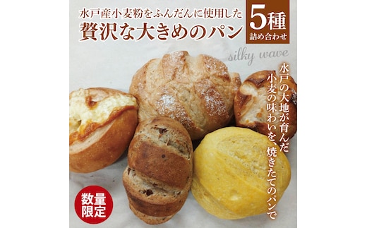 【数量限定】水戸産小麦粉をふんだんに使用した贅沢な大きめのパン５種詰め合わせ【総菜パン 菓子パン 食事パン冷凍 水戸市 茨城県】（ LS-1）