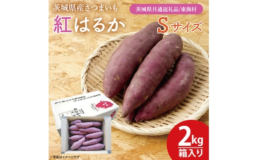 【数量限定】紅はるかSサイズ2kg箱【茨城県共通返礼品/東海村】【新さつまいも 新芋 さつまいも 芋 いも 焼き芋 焼芋 やきいも 水戸市 茨城県】（KE-26）