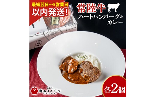 常陸牛ハートハンバーグ100g×2個 常陸牛カレー2個 詰め合わせセット レトルトカレー 化粧箱 12000円 敬老の日 【肉のイイジマ】茨城県 水戸市（DU-130）