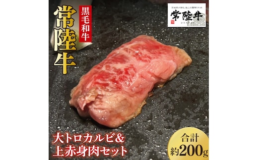 【数量限定】常陸牛 大トロカルビ100g・上赤身肉100g【牛肉 和牛 ブランド牛 常陸牛 パーティ BBQ バーベキュー 水戸市 茨城県】(MJ-1)