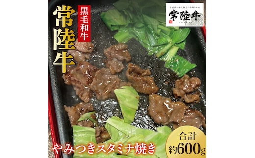 【数量限定】イチオシ！！常陸牛やみつきスタミナ焼600g【牛肉 和牛 ブランド牛 常陸牛 パーティ BBQ バーベキュー 水戸市 茨城県】(MJ-2)