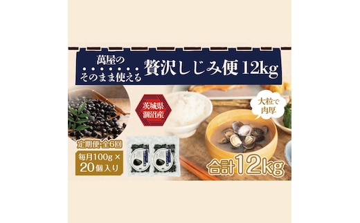 【6ヶ月定期便】涸沼産冷凍しじみ中粒２kg（100g×20p）【シジミ 中粒しじみ 産地直送 砂抜き済み 砂抜き 小分け包装 味噌汁 みそ汁 茨城県】（CA-13）
