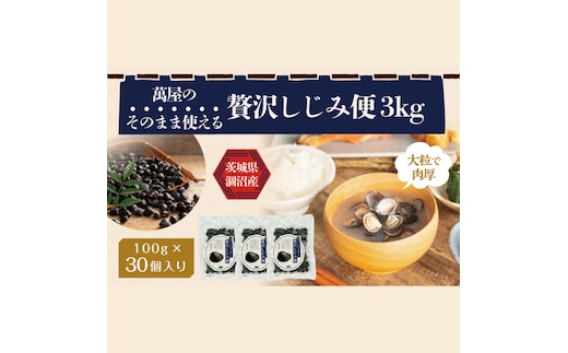 涸沼産冷凍しじみ中粒３kg（100g×30p）【シジミ 中粒しじみ 産地直送 砂抜き済み 砂抜き 小分け包装 味噌汁 みそ汁 茨城県】（CA-14）