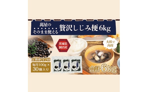 【2ヶ月定期便】涸沼産冷凍しじみ中粒３kg（100g×30p）【シジミ 中粒しじみ 産地直送 砂抜き済み 砂抜き 小分け包装 味噌汁 みそ汁 茨城県】（CA-15）