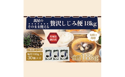 【6ヶ月定期便】涸沼産冷凍しじみ中粒３kg（100g×30p）【シジミ 中粒しじみ 産地直送 砂抜き済み 砂抜き 小分け包装 味噌汁 みそ汁 茨城県】（CA-19）