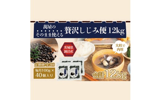 【3ヶ月定期便】涸沼産冷凍しじみ中粒４kg（100g×40p）【シジミ 中粒しじみ 産地直送 砂抜き済み 砂抜き 小分け包装 味噌汁 みそ汁 茨城県】（CA-22）