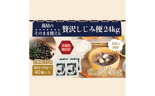 【6ヶ月定期便】涸沼産冷凍しじみ中粒４kg（100g×40p）【シジミ 中粒しじみ 産地直送 砂抜き済み 砂抜き 小分け包装 味噌汁 みそ汁 茨城県】（CA-25）
