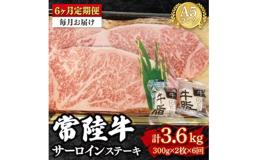 【6か月定期便】【常陸牛 A5ランク】サーロインステーキ 600ｇ（300ｇ×２枚） 冷凍 国産牛 和牛 牛肉 茨城県 水戸市 国産 老舗精肉店（EK-2_2）