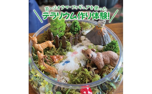 苔（コケ）とジオラマ、フィギュアを使ったテラリウム作り体験！【苔テラリウム ハンドメイド ワークショップ オリジナル 水戸市 茨城県】（MW-1）