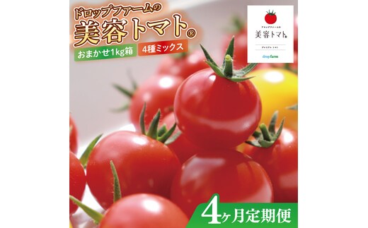 【4ヶ月定期便】【11月より順次発送】ドロップファームの美容トマトおまかせ1kg箱(４種ミックス)【とまと フルーツトマト 野菜ソムリエ 栄養士 アイコ イエローアイコ 小鈴 フルティカ 野菜 フレッシュ 水戸市 茨城県】（CK-15）