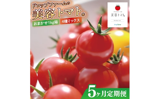【5ヶ月定期便】【11月より順次発送】ドロップファームの美容トマトおまかせ1kg箱(４種ミックス)【とまと フルーツトマト 野菜ソムリエ 栄養士 アイコ イエローアイコ 小鈴 フルティカ 野菜 フレッシュ 水戸市 茨城県】（CK-16）