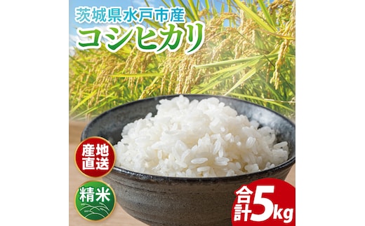 【翌月より順次発送】【数量限定】【令和6年度産】茨城県産コシヒカリ 5kg【米 おこめ こしひかり 農家直送 直送 水戸市 茨城県】(ND-2)