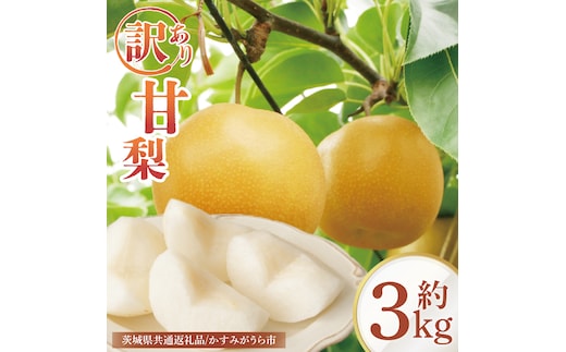 【8月中旬より発送】【数量限定】訳あり 甘梨（なし） 約3kg（茨城県共通返礼品／かすみがうら市）（FW-8）
