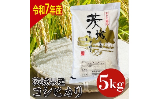 【数量限定】【令和7年産】茨城県産コシヒカリ 5kg (HQ-201)