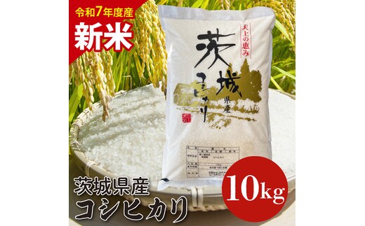 【数量限定】【令和7年産 新米】茨城県産コシヒカリ 10kg 【お米 ごはん こしひかり 老舗 米屋 おにぎり ごはん 茨城県 水戸市 10キロ】(HQ-202)