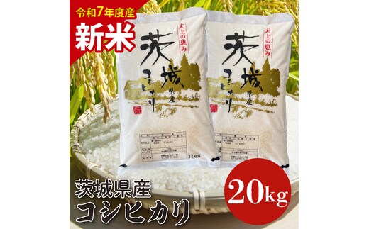【数量限定】【令和7年産 新米】茨城県産コシヒカリ 20kg 【お米 ごはん こしひかり 老舗 米屋 おにぎり ごはん 茨城県 水戸市 20キロ】(HQ-203)