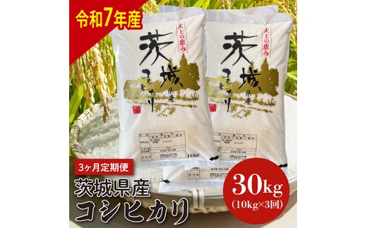 【令和7年産】【3ヶ月定期便】茨城県産コシヒカリ 10kg×3【定期便 お米 ごはん こしひかり 老舗 米屋 おにぎり ごはん 茨城県 水戸市 30キロ】(HQ-205)